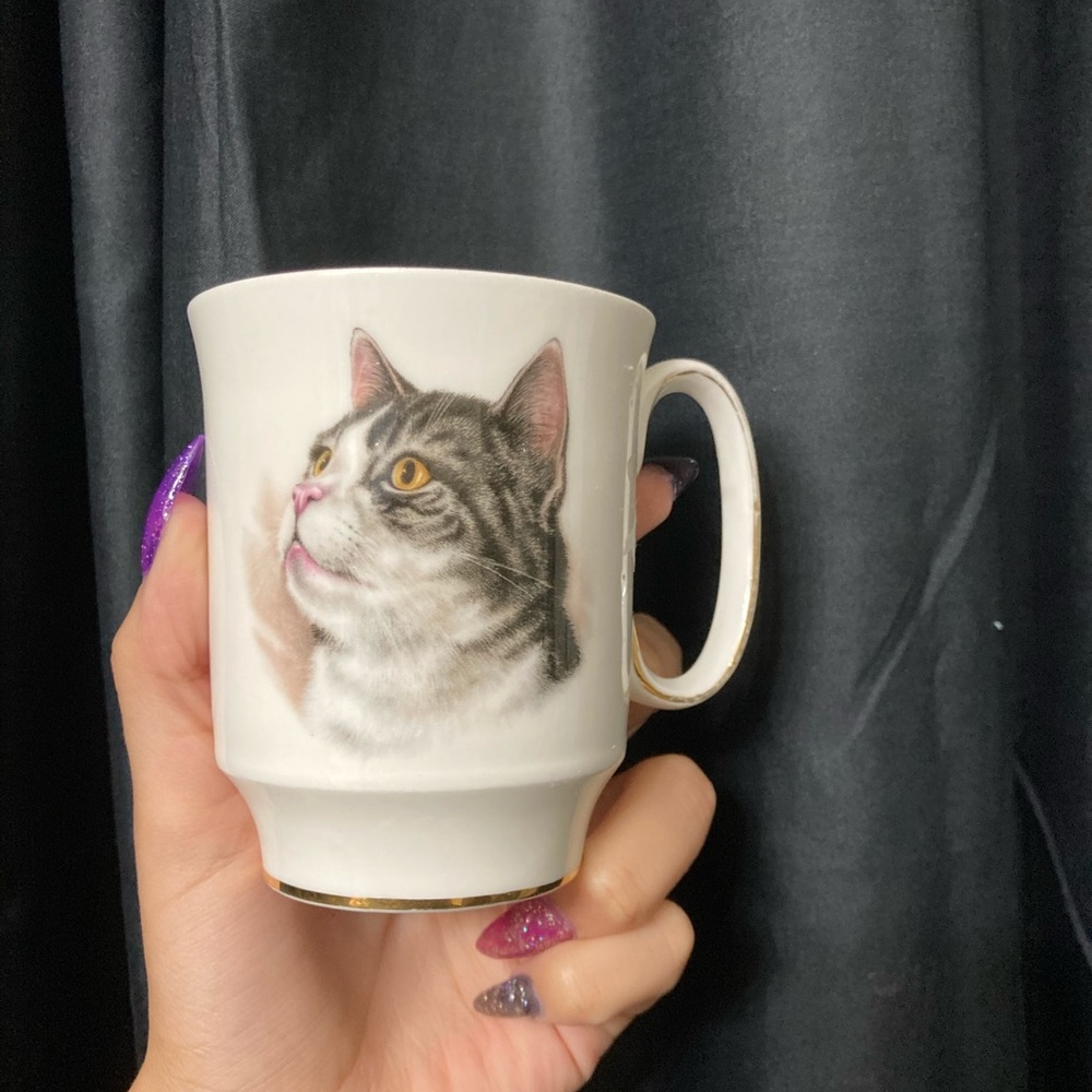 Vintage kitty teacup! Royal Windsor brand